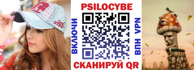 Псилоцибиновые грибы Psilocybe  Купить где  Свирск 