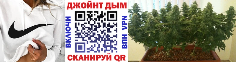 Шишки марихуана тримм  Купить закладки  Свирск 